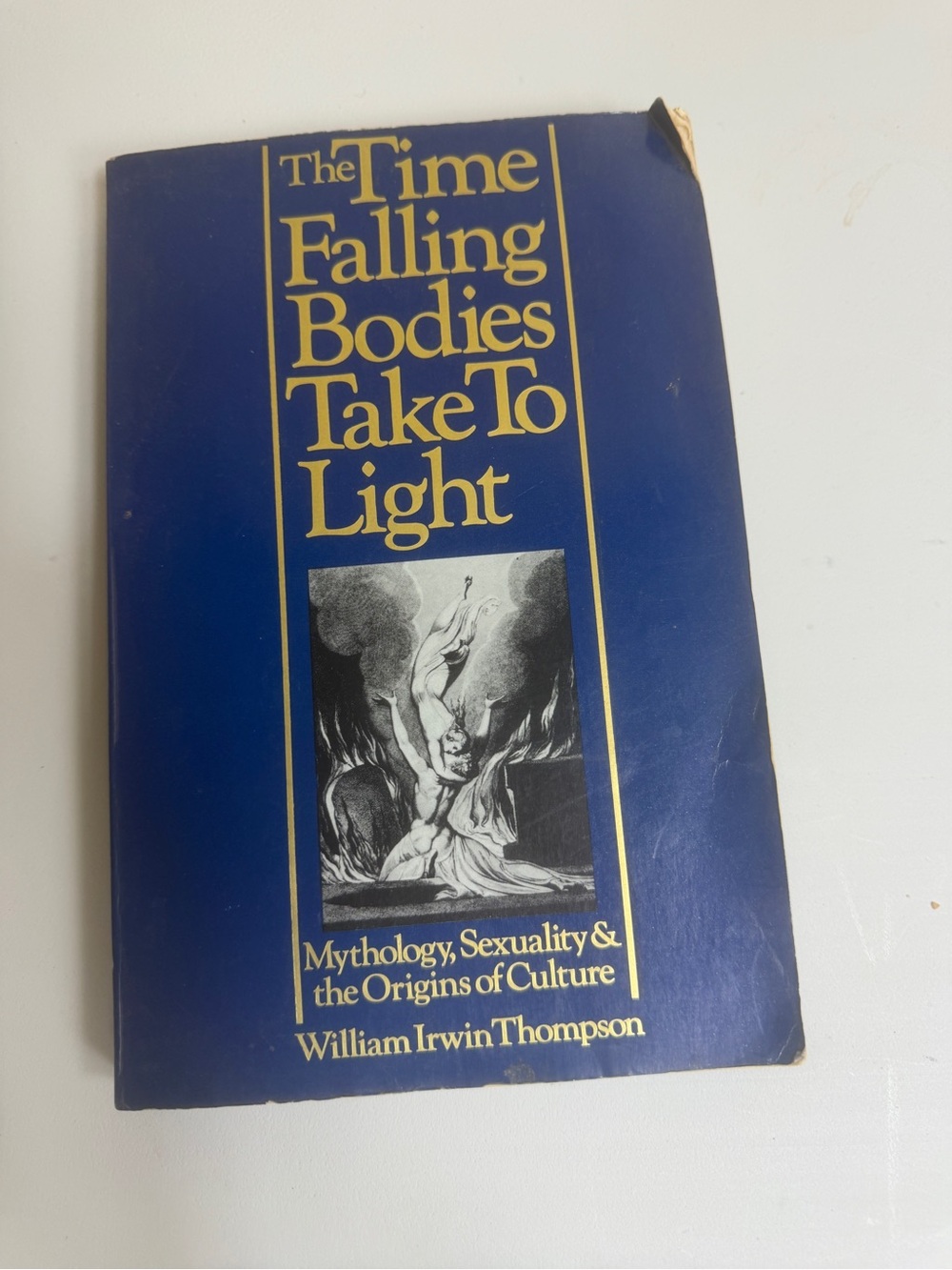 The Time Falling Bodies Take to Light William Irwin Thompson 1981 Paperback PB